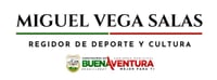 MIGUEL VEGA SALAS